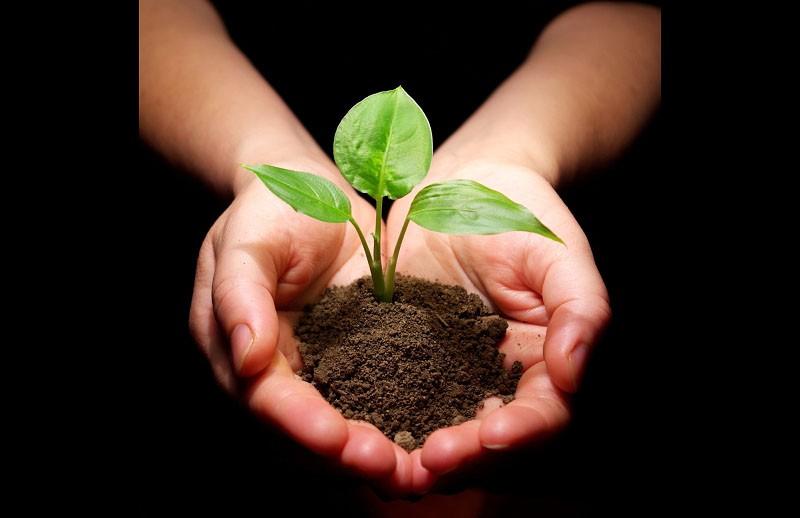 Ағаш отырғызу- атадан қалған мираc